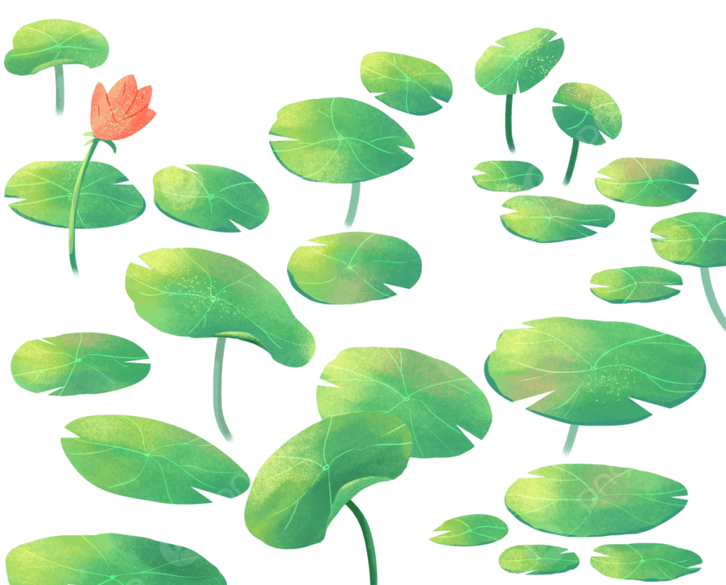 лото клуб ио