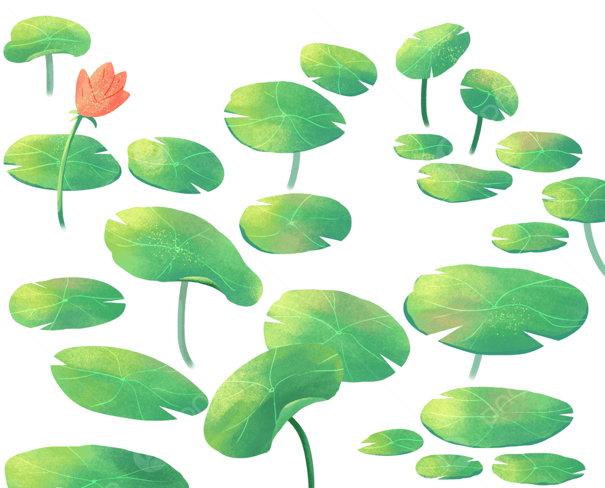 лото клуб ио